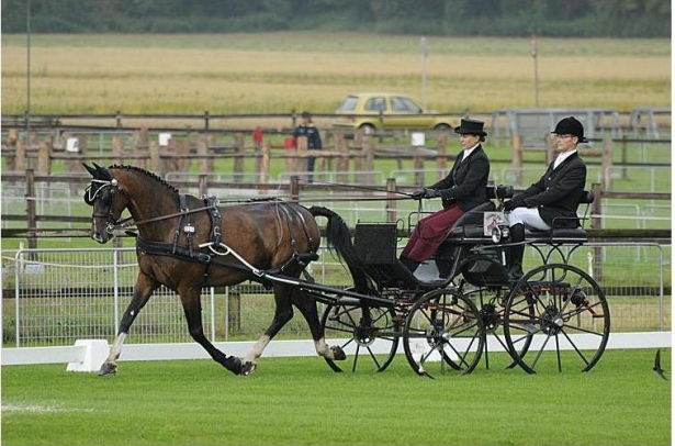 ATTACCHI: Campionati Italiani di Completo cavalli e pony