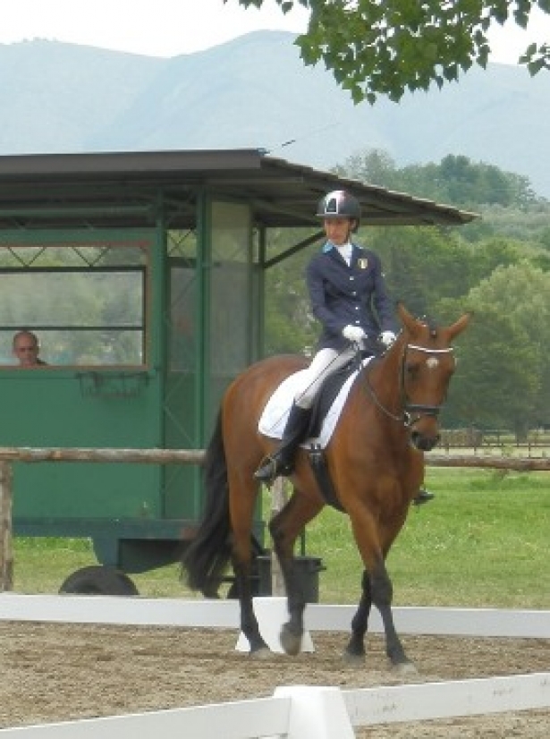 Paralimpica: Countdown per il CPEDI 3*