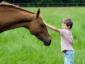 Uomo e cavallo, un’amicizia nata nella steppa russa