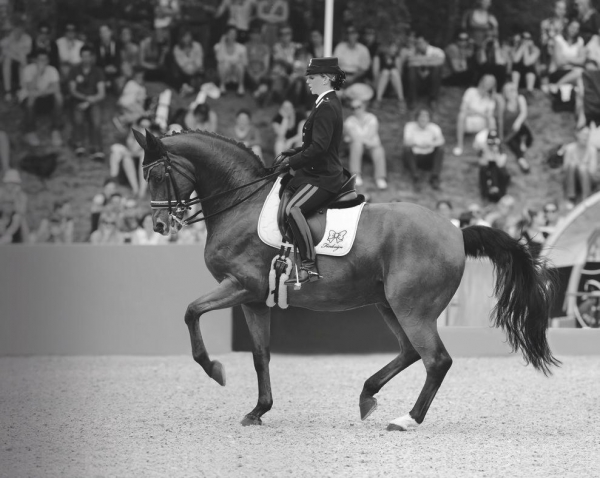 Dressage: la Truppa “Vale” nel mondo