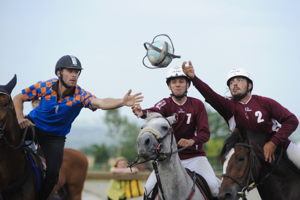 HORSE BALL: On line Regolamento 2013 e Progetto Pony 2013