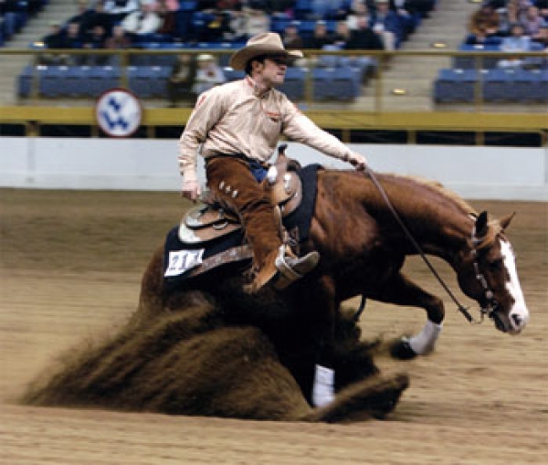 II tappa campionato regionale di Reining