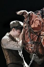 Prima europea per “War Horse”, il film di Spielberg