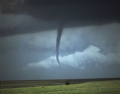 Disaster Relief USEF Equine per le scuderie colpite dai tornado