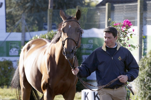 WEG2014:Salto Ostacoli. Azzurri pronti per il warm-up