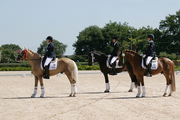 DRESSAGE: Vittorie di Remold, Ecchia e Berni a San Giovanni in Marignano