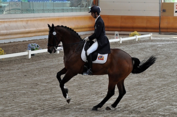 DRESSAGE: Leonardo Tiozzo protagonista a Sommacampagna