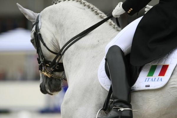 Dressage: prime classifiche dal rettangolo di Vidauban