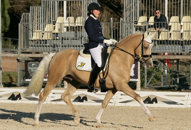 DRESSAGE: Remold quarta a Stadl Paura