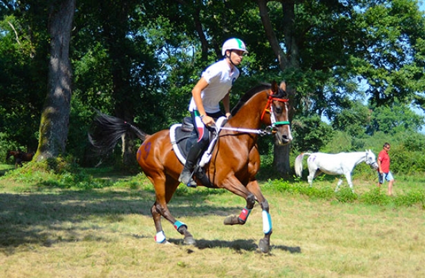 ENDURANCE: A Tarbes vince la Francia. Zappettini ventottesimo