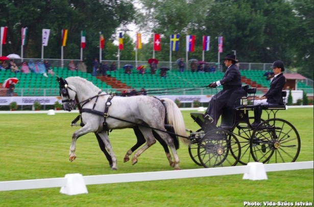 ATTACCHI: Mondiali Pariglie. Italia prima dopo dressage