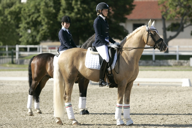 DRESSAGE: Inno per Valentina Remold a Lipica