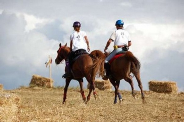 Nuovo gruppo di lavoro per l’endurance