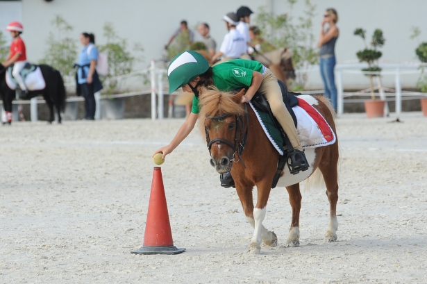 PONYADI : E' la Toscana la regina dell'edizione 2014