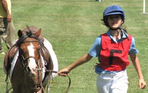 Pony Ludico e Pony Endurance: riunione programmatica e calendario