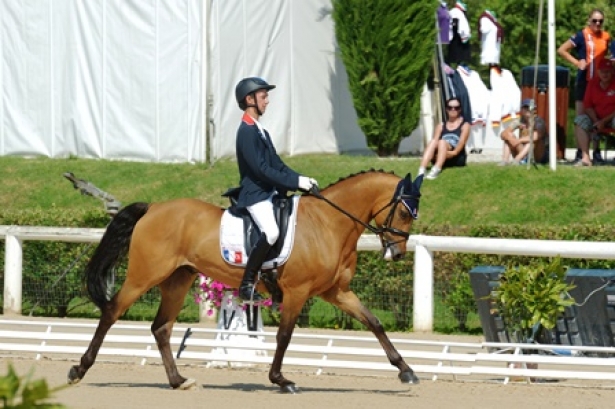 FRENCH IN FRONT AFTER EVENTING DRESSAGE