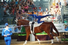 EQUITAZIONE DI BASE: on line il programma del campionato italiano pony ludico