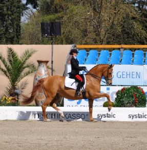 Dressage: “Truppa and friends” a Vidauban