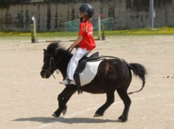 Ludico: c'è l'Horseball a Chieti, rinviata la gara del 7 ottobre