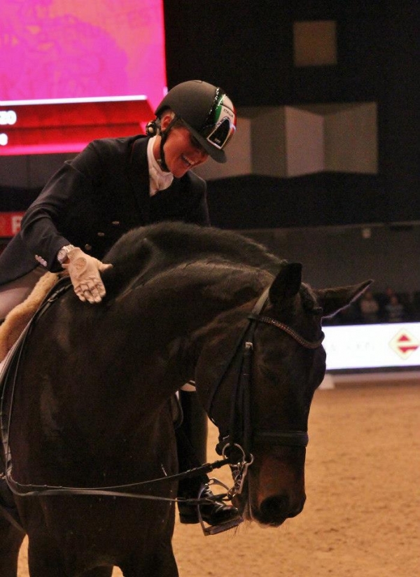 Dressage: tutto pronto per Stoccolma