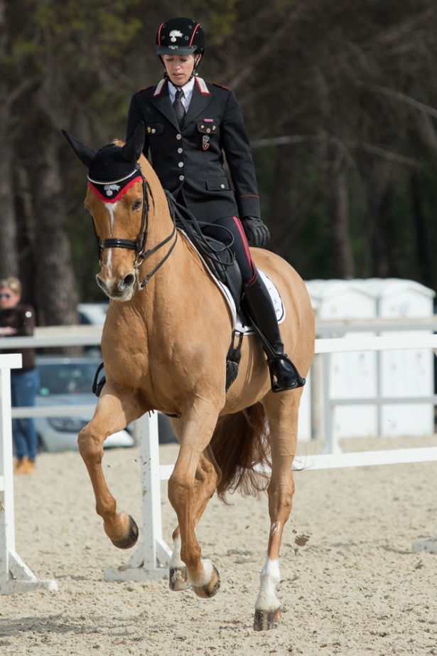 DRESSAGE: Truppa e Chablis terzi a Villach Treffen