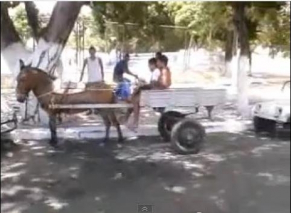 Come si parcheggia un carretto con cavallo