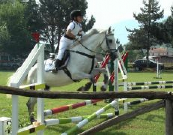 Pony - Ludico: rinviato il Trofeo di Natale