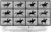 “The horse in motion”
