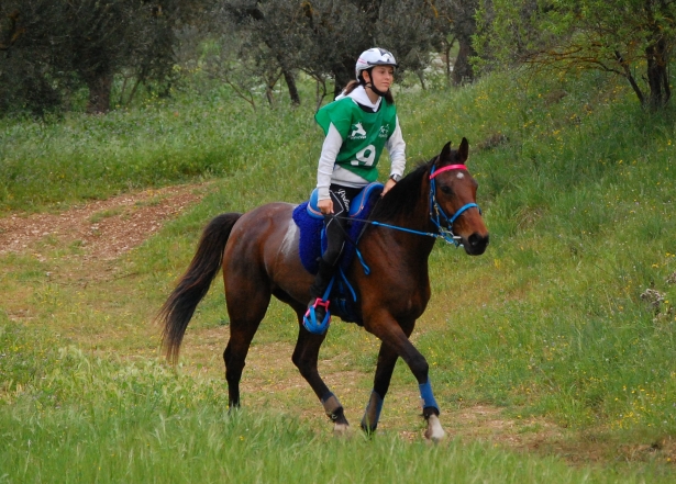 ENDURANCE: La “giovane” Italia ai mondiali di Tarbes