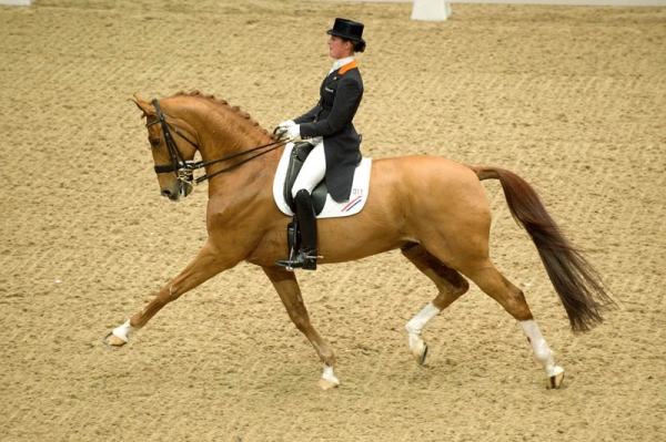 Dressage: Adelinde Cornelissen vola in alto a Odense