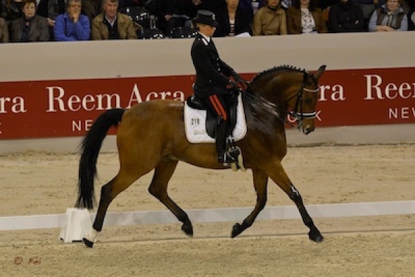 Dressage: SuperTruppa sesta a Aachen