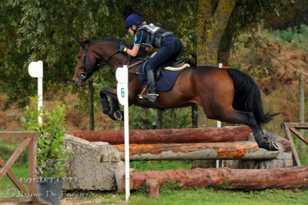 COMPLETO: Modifica regolamento Coppa Italia Pony