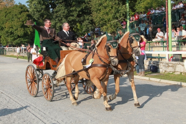 ATTACCHI: A Breda i Campionati del Mondo pony