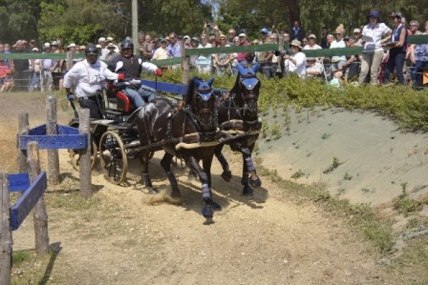 ATTACCHI: Vittoria di Fumagalli a Saumur nel CAIO4*