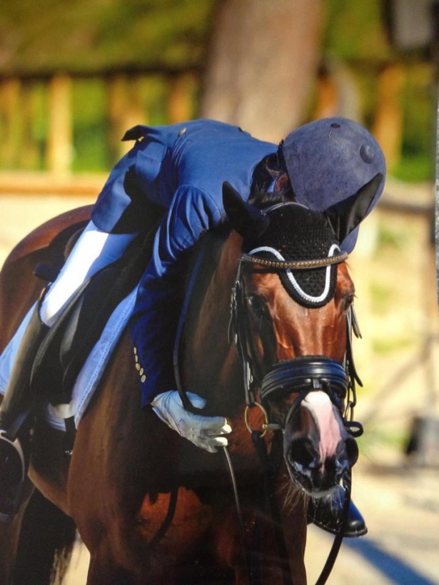 DRESSAGE: Campioni Freestyle ad Arezzo