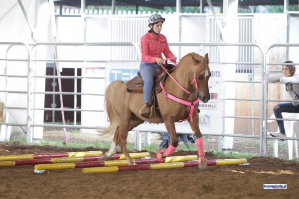 GIMKANA WESTERN: I VINCITORI DI CAMPIONATI ITALIANI E COPPA DELLE REGIONI  