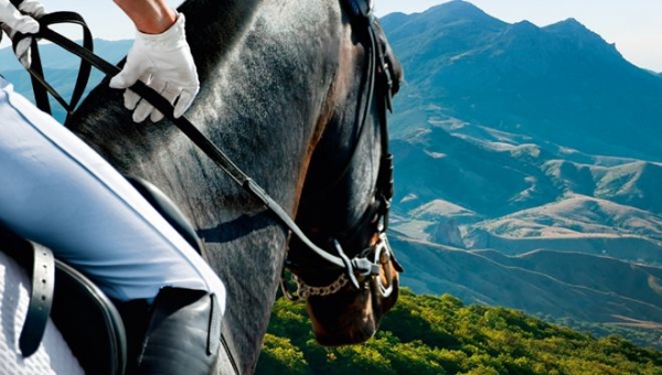 Fieracavalli: le regioni si confrontano sul campo