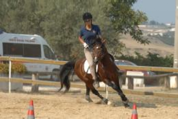 Pony - Ludico: il 16 dicembre a Cappelle sul Tavo c'è il Trofeo di Natale