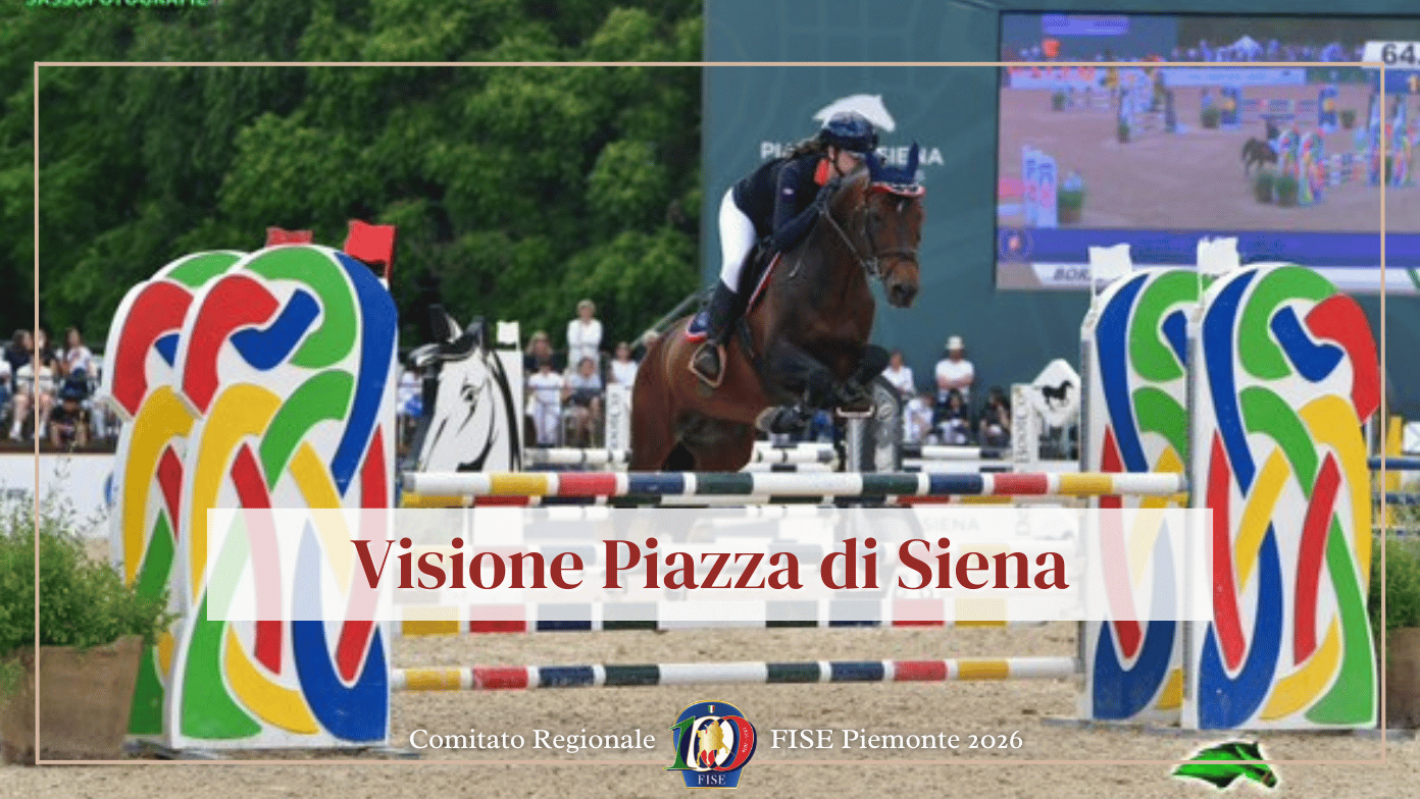 images/FOTO_COPERTINE_NEWS/medium/Piazza_di_siena_2.png