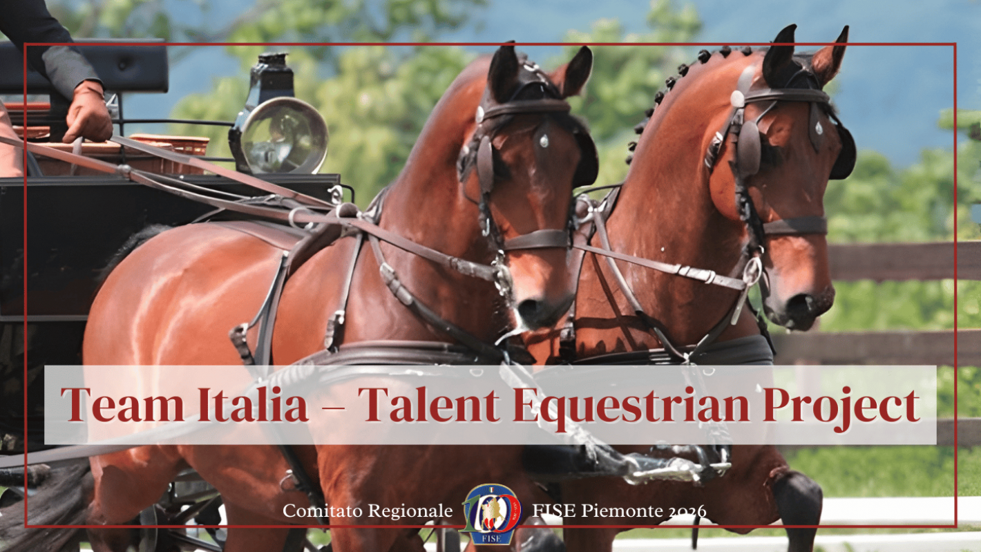 images/FOTO_COPERTINE_NEWS/medium/Team_It._Talent.png