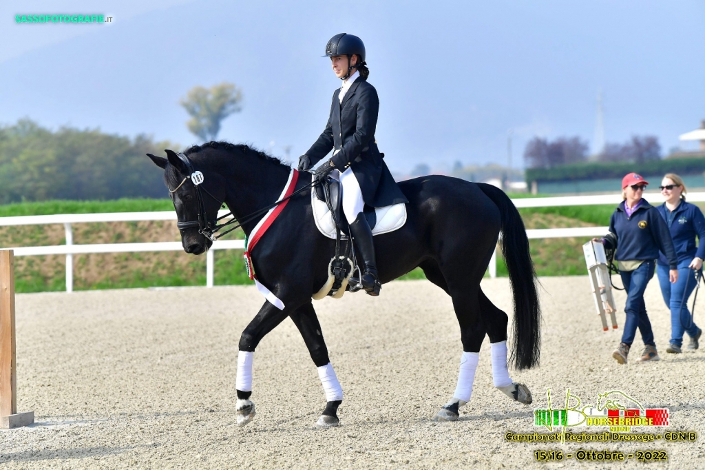 dressage5 20221018 1271212323