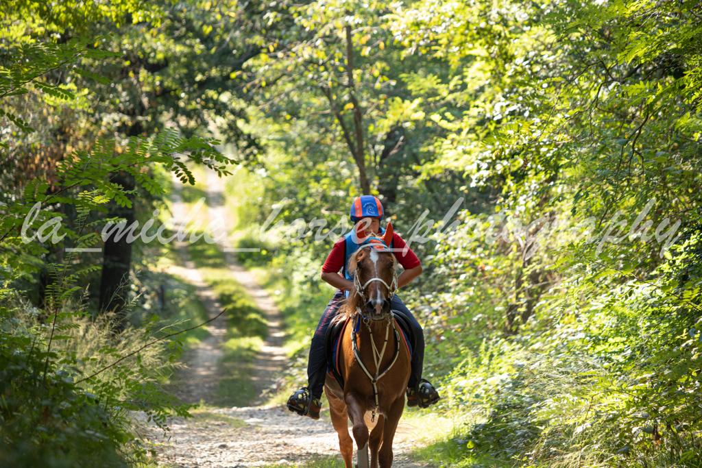endurance pony3 20230915 2031813848