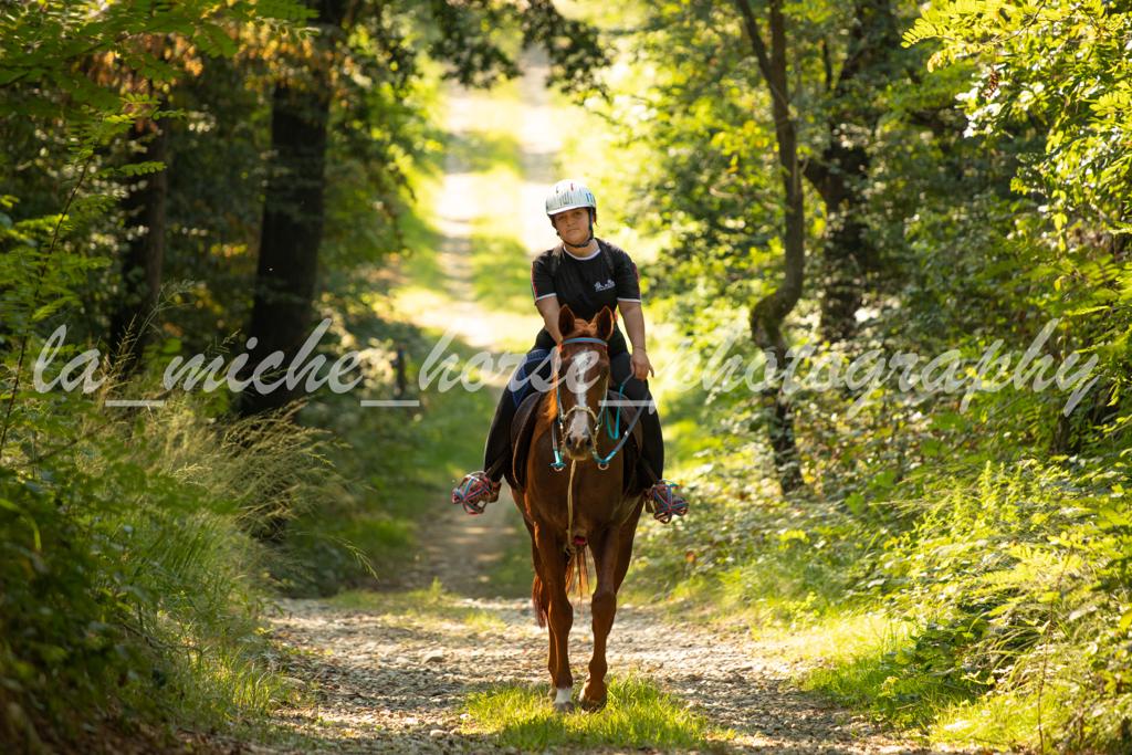 endurance pony4 20230915 1030191137