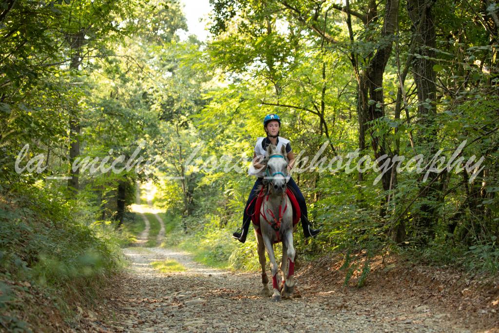endurance pony5 20230915 1790708037
