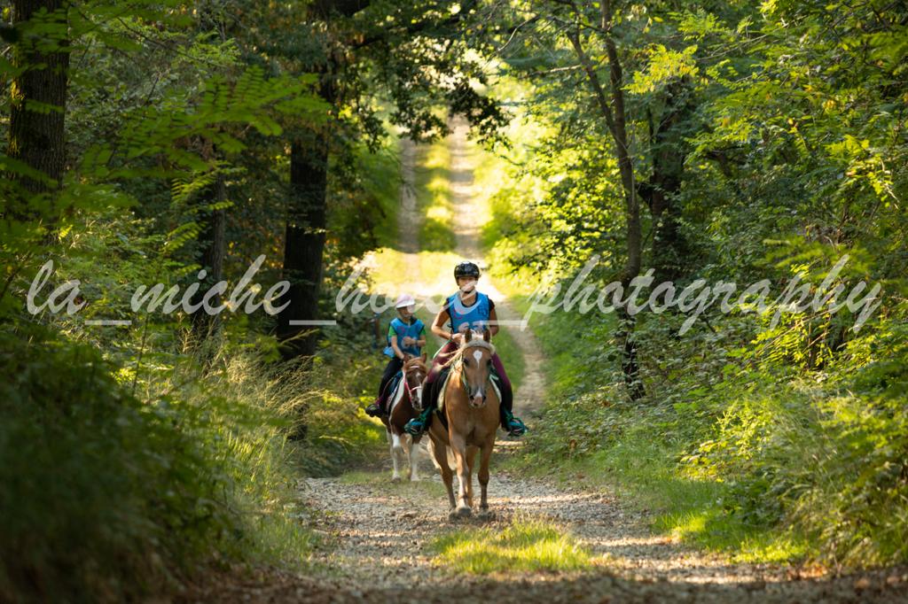 endurance pony6 20230915 1975060831