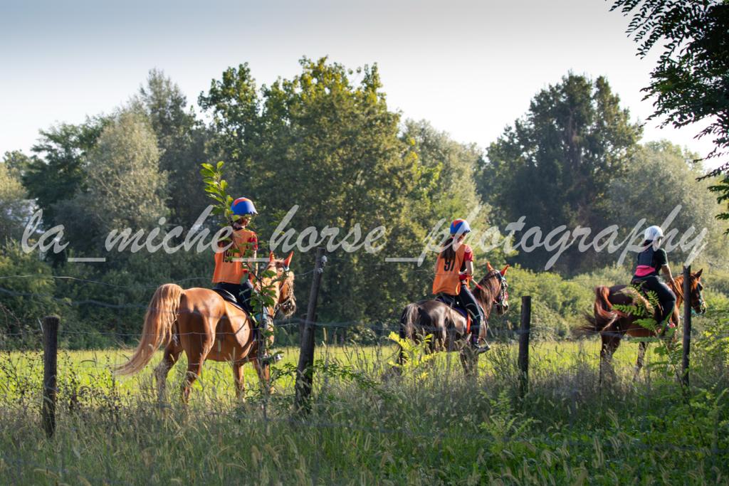 endurance pony 20230915 1838126776