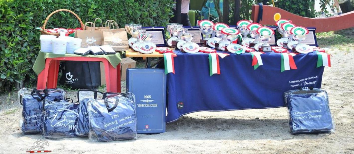 images/joomgallery/details/piemonte_17/medium/dressage_2023_copertina_20230619_1007802813.jpg