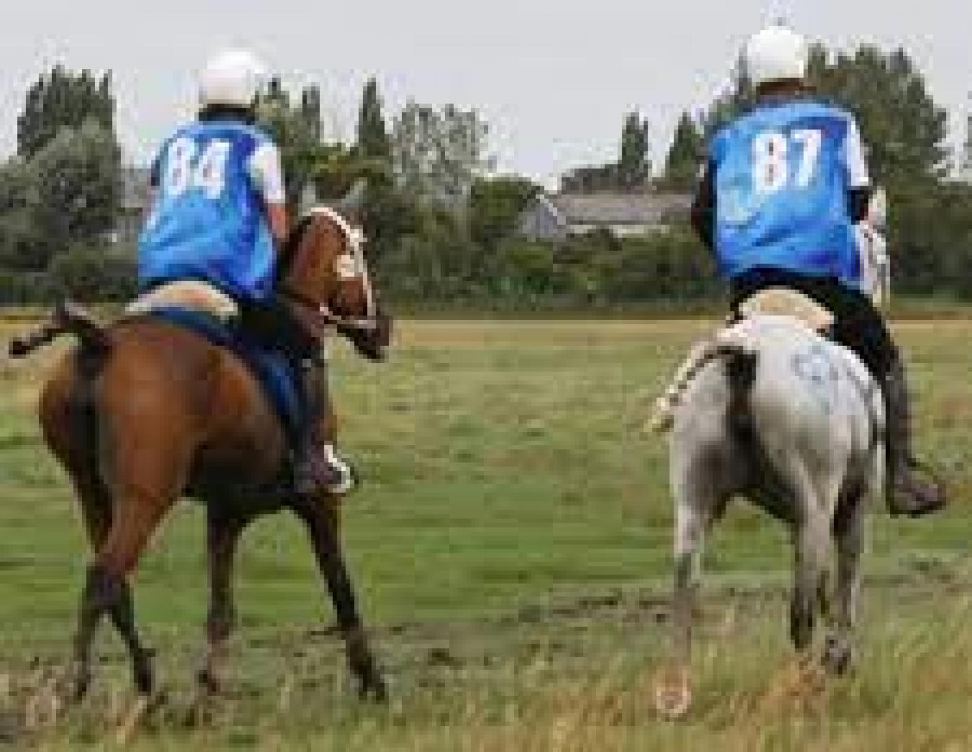 images/joomgallery/details/piemonte_17/medium/endurance_copertina_20231009_1881313126.jpg