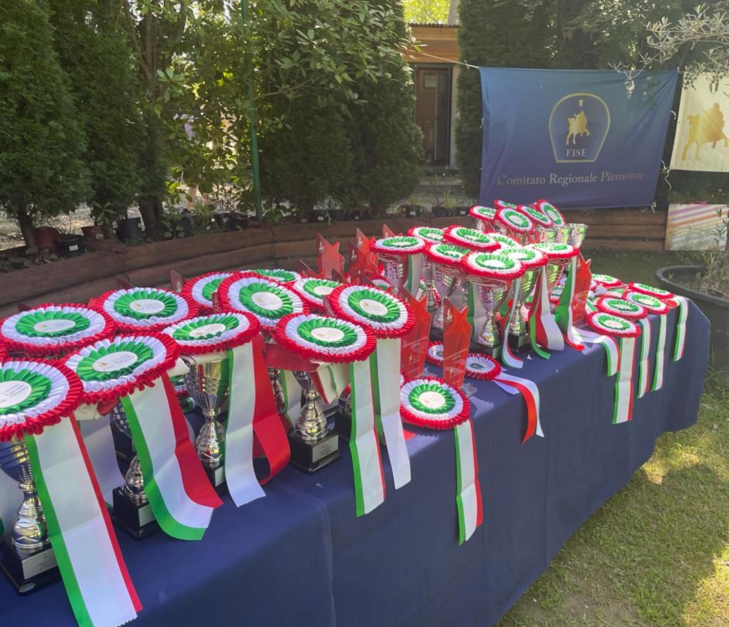 images/joomgallery/details/piemonte_17/medium/pony_ludico_campionato_2022_20220613_1553851810.jpg