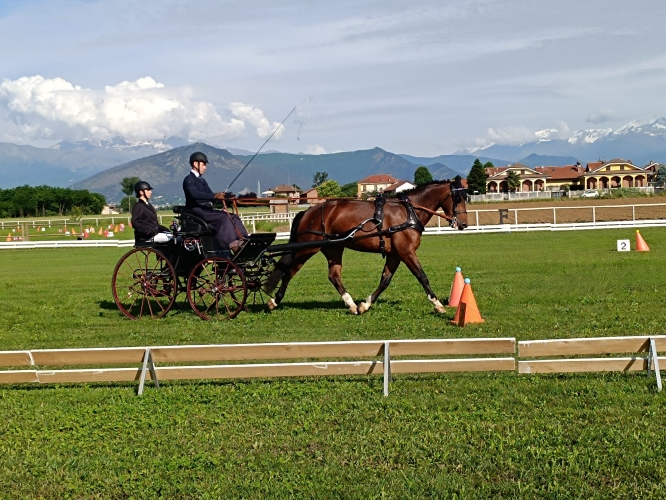 CAMPIONATI REGIONALI ATTACCHI-None (TO)-